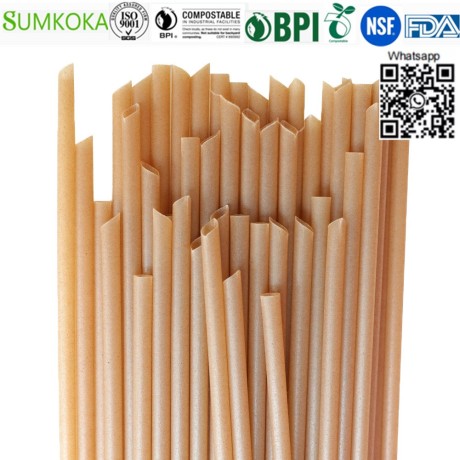 bagasse-drinking-straw-sugarcane-straw-big-2