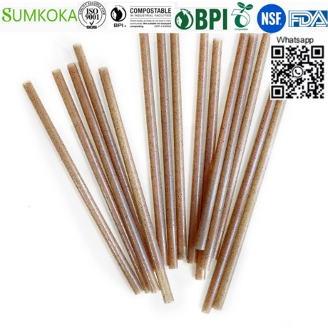 bagasse-drinking-straw-sugarcane-straw-big-1