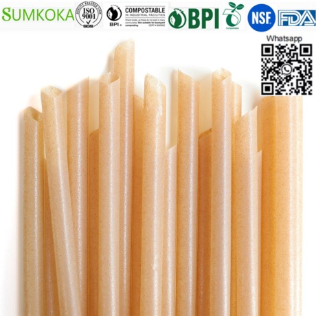 bagasse-drinking-straw-sugarcane-straw-big-4