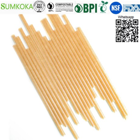 bagasse-drinking-straw-sugarcane-straw-big-3