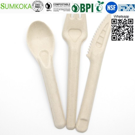 cutlery-disposable-cutlery-sugarcane-cutlery-sugarcane-fork-big-4