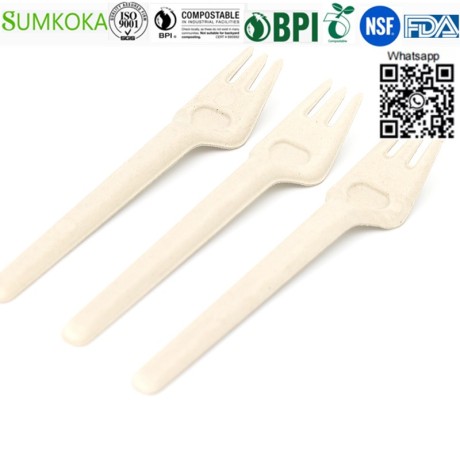 cutlery-disposable-cutlery-sugarcane-cutlery-sugarcane-fork-big-0