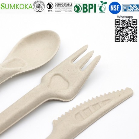 cutlery-disposable-cutlery-sugarcane-cutlery-sugarcane-fork-big-3