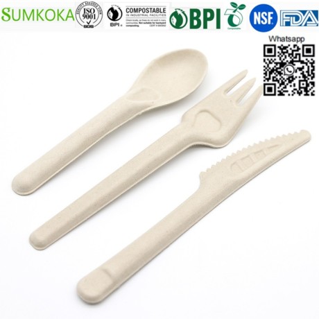 cutlery-disposable-cutlery-sugarcane-cutlery-sugarcane-fork-big-1