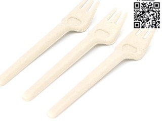 cutlery-disposable-cutlery-sugarcane-cutlery-sugarcane-fork