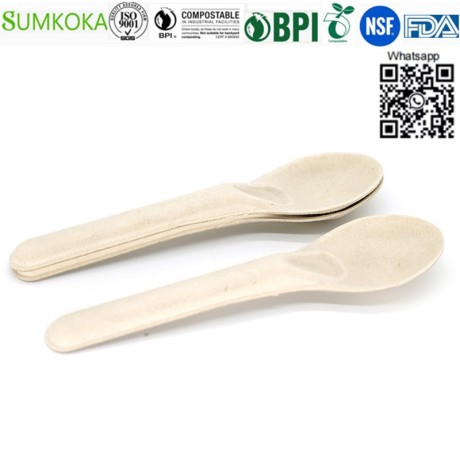 cutlery-disposable-cutlery-bagasse-cutlery-bagasse-spoon-big-0