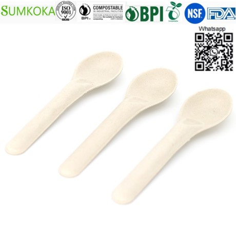 cutlery-disposable-cutlery-bagasse-cutlery-bagasse-spoon-big-1