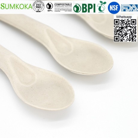 cutlery-disposable-cutlery-bagasse-cutlery-bagasse-spoon-big-2