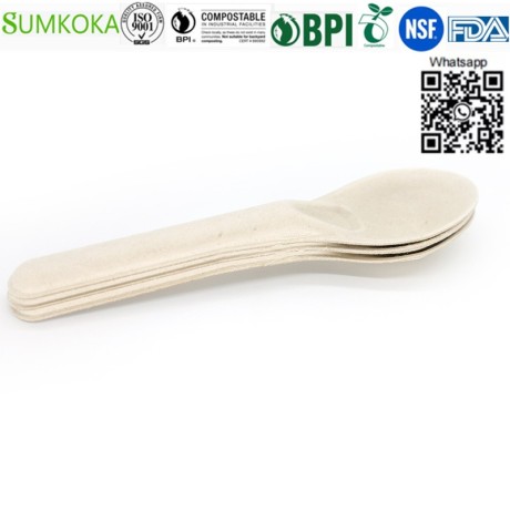 cutlery-disposable-cutlery-bagasse-cutlery-bagasse-spoon-big-4