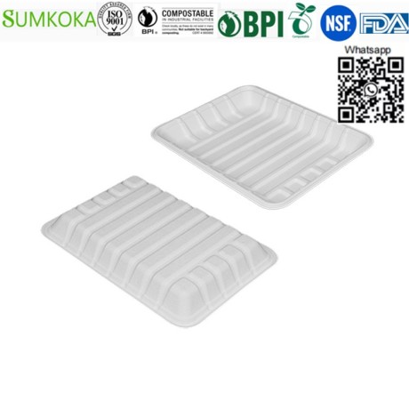 food-tray-disposable-tray-sugarcane-tray-meat-tray-big-4