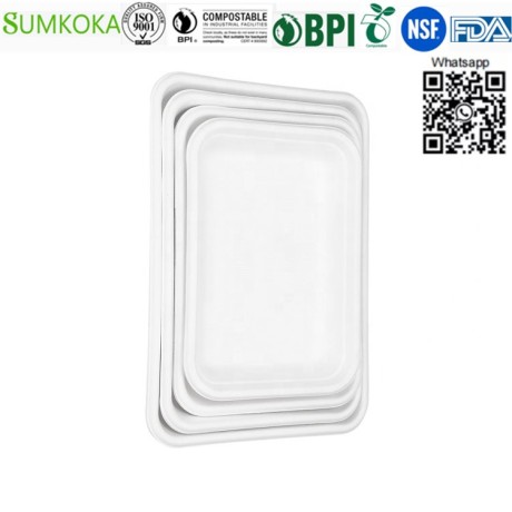 food-tray-disposable-tray-sugarcane-tray-meat-tray-big-2