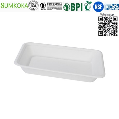 food-tray-disposable-tray-sugarcane-tray-meat-tray-big-1