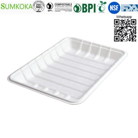 food-tray-disposable-tray-sugarcane-tray-meat-tray-big-3