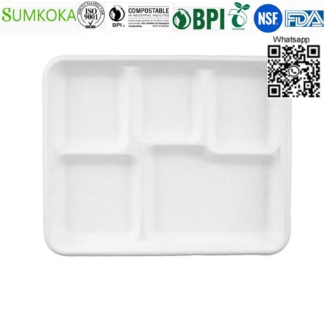 lunch-tray-disposable-tray-bagasse-tray-take-away-tray-big-0