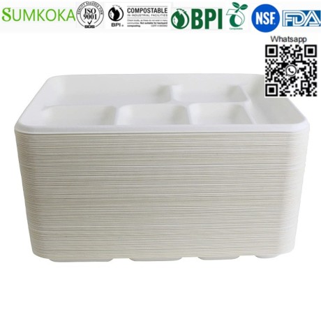 lunch-tray-disposable-tray-bagasse-tray-take-away-tray-big-2