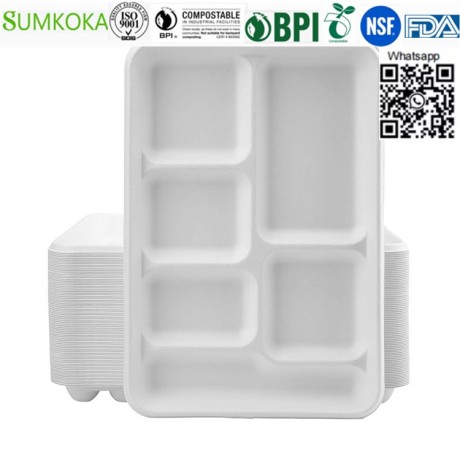 lunch-tray-disposable-tray-bagasse-tray-take-away-tray-big-1