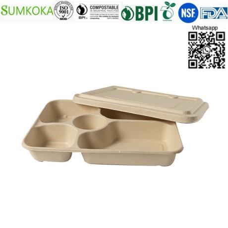 lunch-tray-disposable-tray-bagasse-tray-take-away-tray-big-4