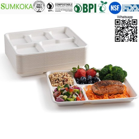 lunch-tray-disposable-tray-bagasse-tray-take-away-tray-big-3