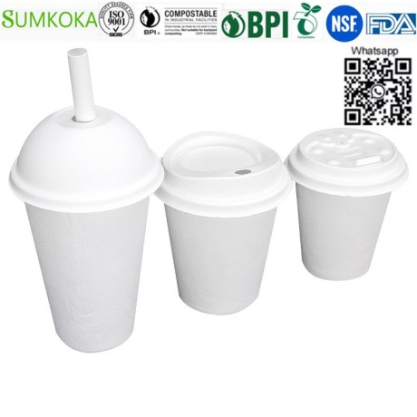 8-oz-12-oz-cup-disposable-cup-bagasse-cup-coffee-cup-big-0