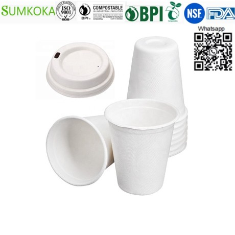 16-oz-cup-disposable-cup-sugarcane-cup-take-away-cup-big-0