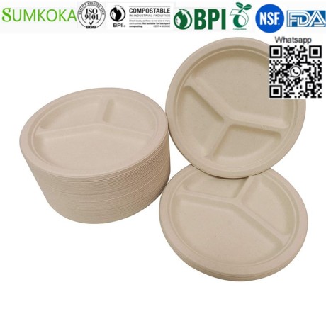 9-inches-plate-disposable-plate-round-plate-bagasse-plate-big-4