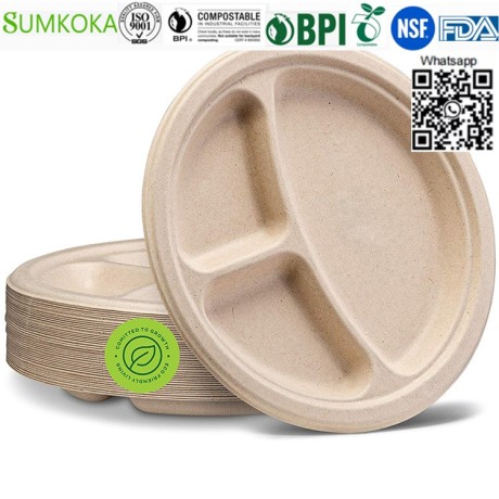 9-inches-plate-disposable-plate-round-plate-bagasse-plate-big-0