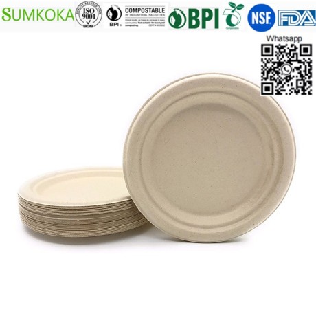 9-inches-plate-disposable-plate-round-plate-bagasse-plate-big-3