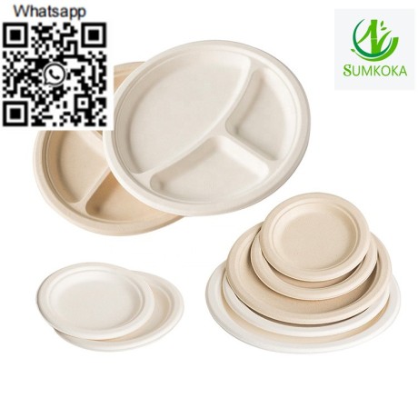 10-inches-plate-dinner-plate-disposable-plate-sugarcane-plate-big-4