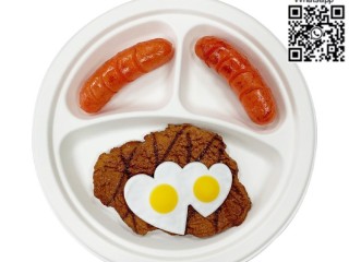 10-inches-plate-dinner-plate-disposable-plate-sugarcane-plate