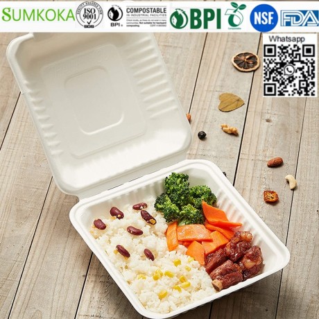 8-inches-clamshell-box-disposable-clamshell-box-bagasse-clamshell-big-3