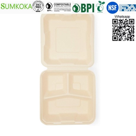 8-inches-clamshell-box-disposable-clamshell-box-bagasse-clamshell-big-1