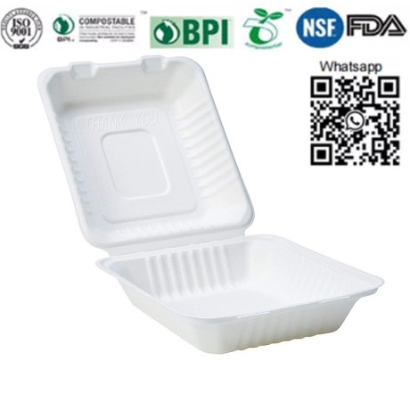 8-inches-disposable-box-bagasse-box-sugarcane-box-take-away-box-big-0