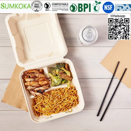 8-inches-disposable-box-bagasse-box-sugarcane-box-take-away-box-big-2