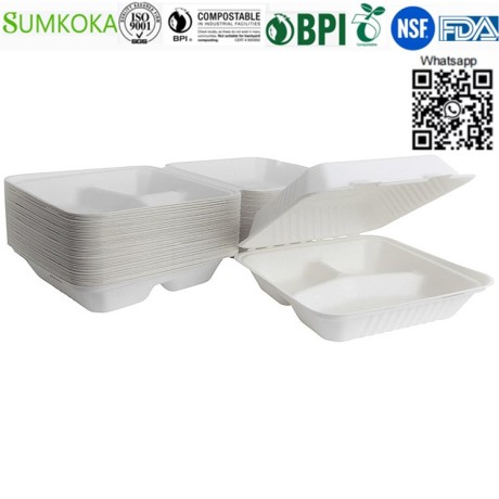 8-inches-disposable-box-bagasse-box-sugarcane-box-take-away-box-big-3