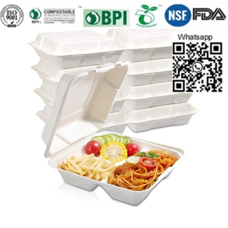 8-inches-disposable-box-bagasse-box-sugarcane-box-take-away-box-big-1