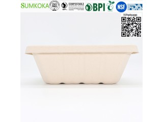 Wholesale China 500ML 700ML 850ML 1000ML Compostable Bagasse Bento Box with Lid