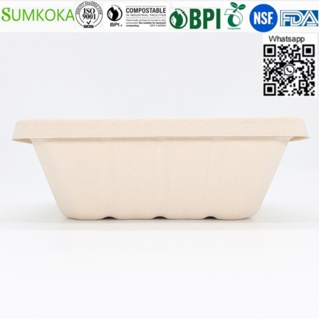 wholesale-china-500ml-700ml-850ml-1000ml-compostable-bagasse-bento-box-with-lid-big-0