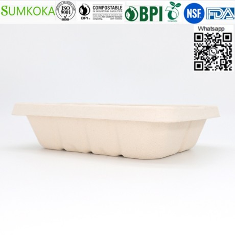 wholesale-china-500ml-700ml-850ml-1000ml-compostable-bagasse-bento-box-with-lid-big-3