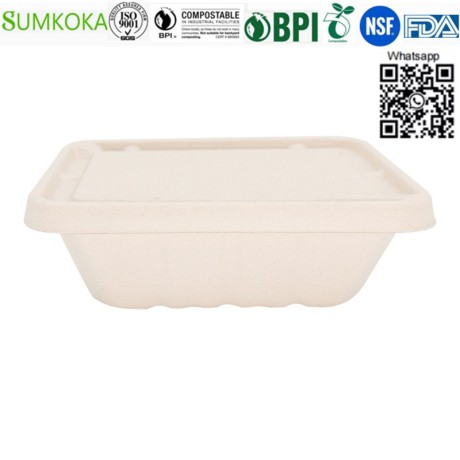 wholesale-china-500ml-700ml-850ml-1000ml-compostable-bagasse-bento-box-with-lid-big-1