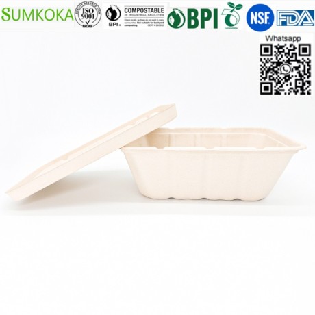 wholesale-china-500ml-700ml-850ml-1000ml-compostable-bagasse-bento-box-with-lid-big-4