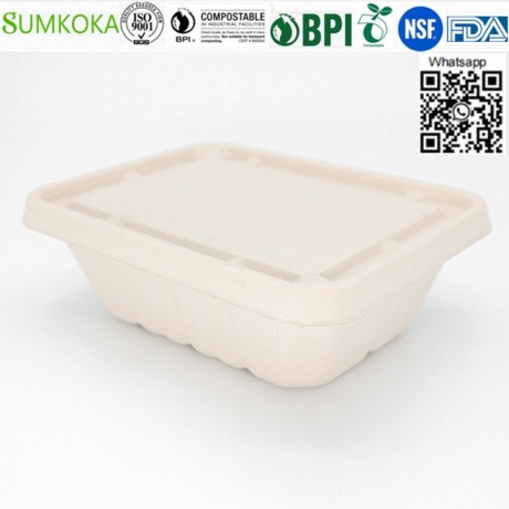 wholesale-china-500ml-700ml-850ml-1000ml-compostable-bagasse-bento-box-with-lid-big-2