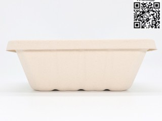 wholesale-china-500ml-700ml-850ml-1000ml-compostable-bagasse-bento-box-with-lid